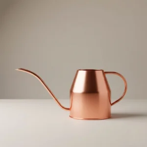 Regadera de Cobre Pulido 