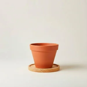 Maceta Barro con Base de Madera 